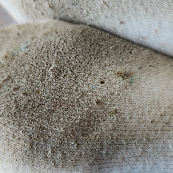 Meet your Posher, Stevie - Picture 3 of 3